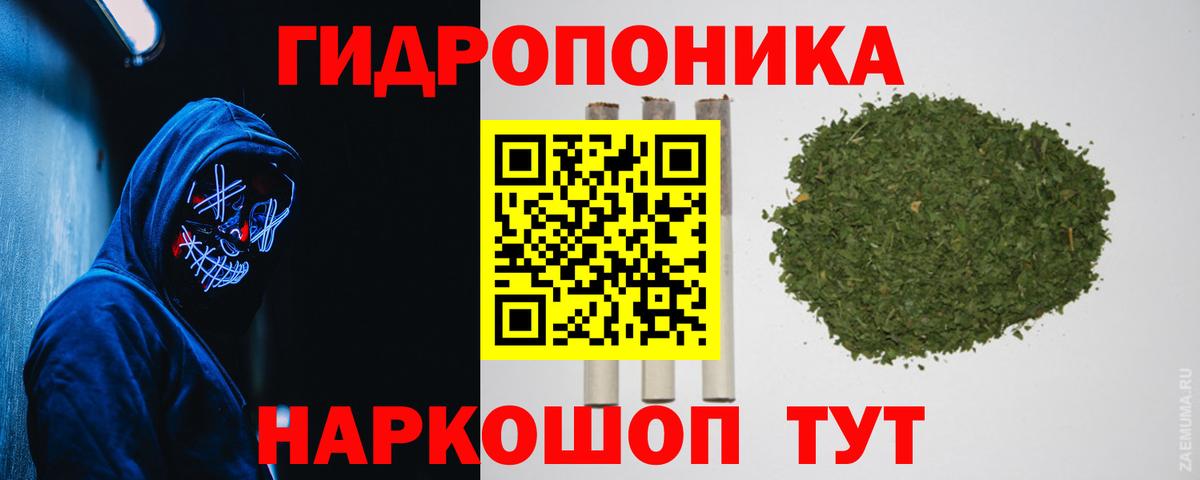 Каннабис Amnesia Вышний Волочёк